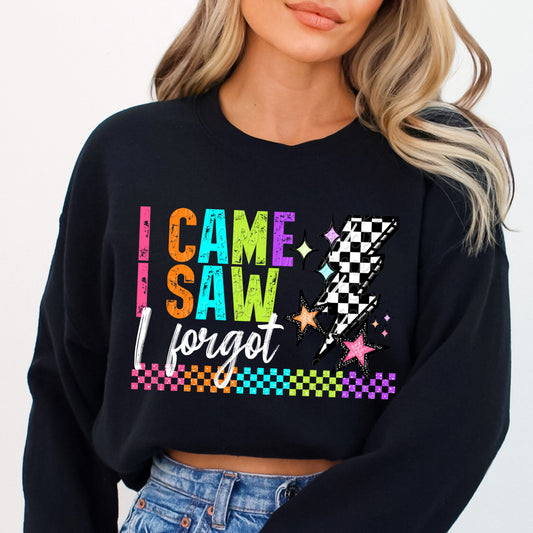 I Came I Saw I Forgot 1 - Digital PNG Design