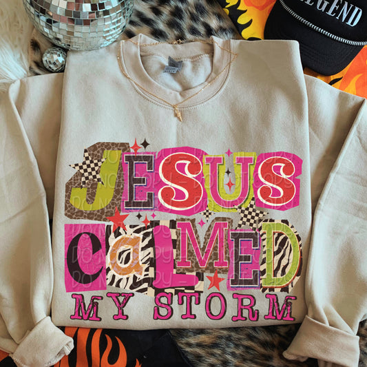 Jesus Calmed My Storm 1 - 2025 Digital PNG Design