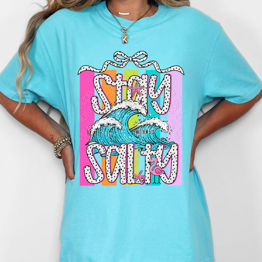 Stay Salty 1 - 2026 Digital PNG Design
